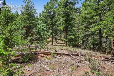 10905 W Highway 24, Green Mountain Falls, CO 80819 - Photo 8