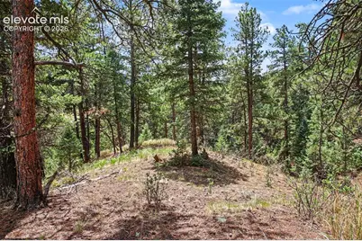 10905 W Highway 24, Green Mountain Falls, CO 80819 - Photo 22