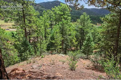 10905 W Highway 24, Green Mountain Falls, CO 80819 - Photo 10