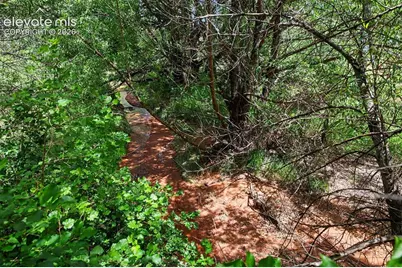10905 W Highway 24, Green Mountain Falls, CO 80819 - Photo 16