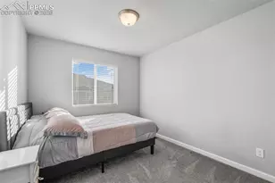 6115 White Wolf Pt, Colorado Springs, CO 80925 - Photo 24