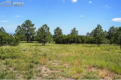 325 Pine Oaks Road, Colorado Springs, CO 80926 - Photo 12