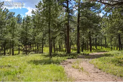 325 Pine Oaks Road, Colorado Springs, CO 80926 - Photo 4