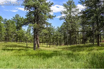 325 Pine Oaks Road, Colorado Springs, CO 80926 - Photo 8