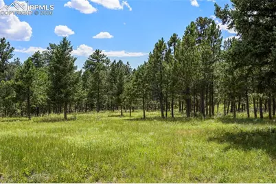 325 Pine Oaks Road, Colorado Springs, CO 80926 - Photo 10