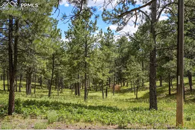 325 Pine Oaks Road, Colorado Springs, CO 80926 - Photo 6