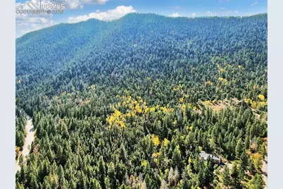 5265 Kulsa Road, Cascade, CO 80809 - Photo 6