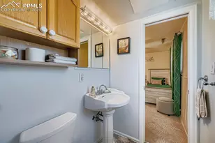 3243 Red Onion Cir, Colorado Springs, CO 80918 - Photo 18