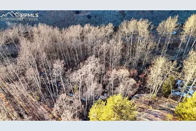 524 Buckhorn Road, Cripple Creek, CO 80813 - Photo 6