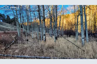 524 Buckhorn Road, Cripple Creek, CO 80813 - Photo 12