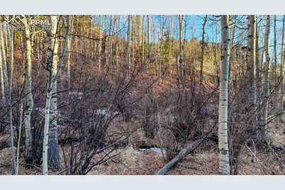 524 Buckhorn Road, Cripple Creek, CO 80813 - Photo 18