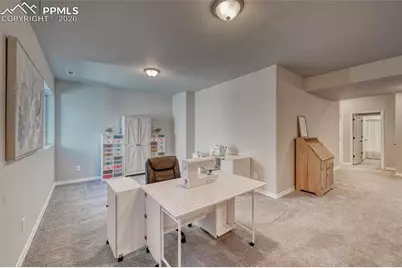 10043 Bison Valley Trail, Colorado Springs, CO 80908 - Photo 40