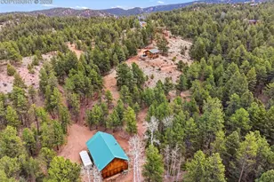 918 Douglas Fir Dr, Woodland Park, CO 80863 - Photo 6