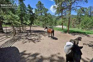 8285 Packard Ln, Green Mountain Falls, CO 80819 - Photo 38
