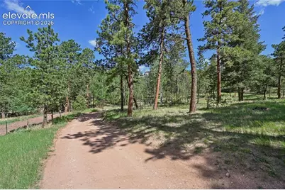 8285 Packard Lane, Green Mountain Falls, CO 80819 - Photo 38
