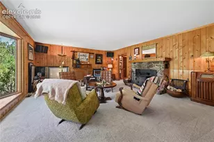 8285 Packard Ln, Green Mountain Falls, CO 80819 - Photo 10