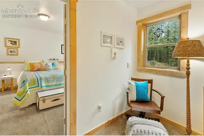 135 Daniwood Grove, Florissant, CO 80816 - Photo 32