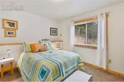 135 Daniwood Grove, Florissant, CO 80816 - Photo 28