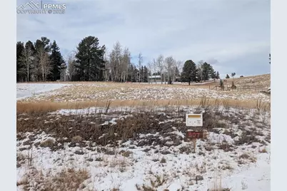 307 Pinaceae Heights, Divide, CO 80814 - Photo 6