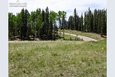 307 Pinaceae Heights, Divide, CO 80814 - Photo 6