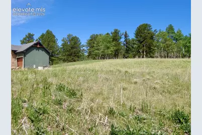 307 Pinaceae Heights, Divide, CO 80814 - Photo 2
