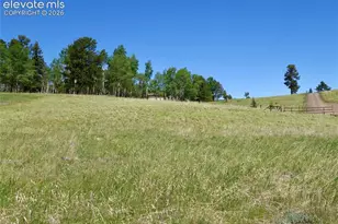 307 Pinaceae Heights, Divide, CO 80814 - Photo 1