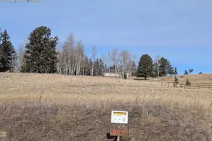 307 Pinaceae Heights, Divide, CO 80814 - Photo 1