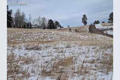 307 Pinaceae Heights, Divide, CO 80814 - Photo 10