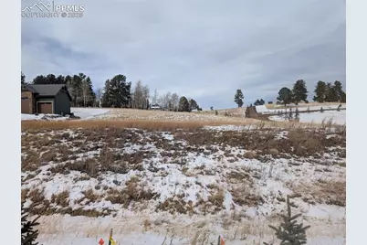 307 Pinaceae Heights, Divide, CO 80814 - Photo 4