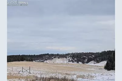307 Pinaceae Heights, Divide, CO 80814 - Photo 12
