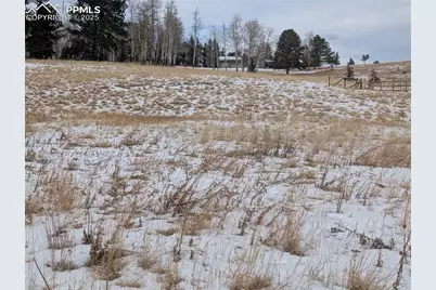 307 Pinaceae Heights, Divide, CO 80814 - Photo 8