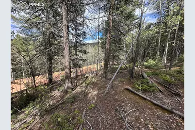 1218 Calcite Drive, Divide, CO 80814 - Photo 10