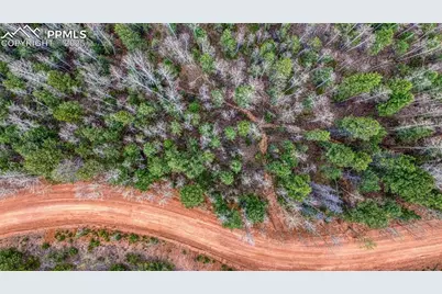 1218 Calcite Drive, Divide, CO 80814 - Photo 20