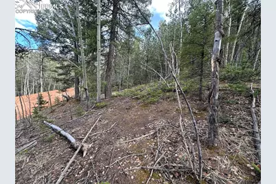 1218 Calcite Drive, Divide, CO 80814 - Photo 12