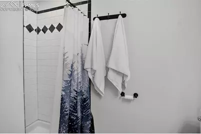 417 W Columbine Avenue, Woodland Park, CO 80863 - Photo 18