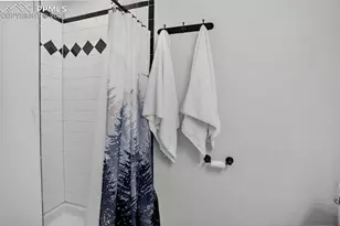 417 W Columbine Ave, Woodland Park, CO 80863 - Photo 18