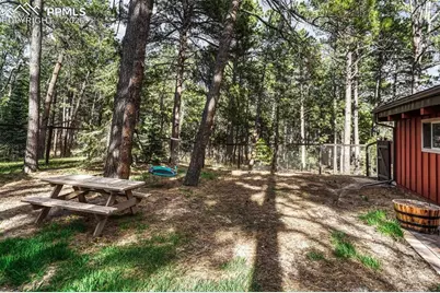 7190 Mathews Road, Colorado Springs, CO 80908 - Photo 6