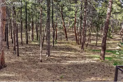 7190 Mathews Road, Colorado Springs, CO 80908 - Photo 38