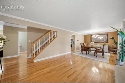 202 Blanca Court, Colorado Springs, CO 80919 - Photo 4