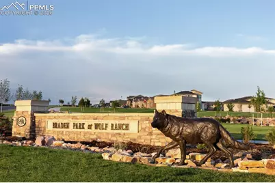 9638 Wolf Valley Drive, Colorado Springs, CO 80924 - Photo 14