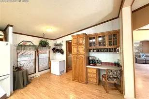 17 Amanda Cir, Florissant, CO 80816 - Photo 20