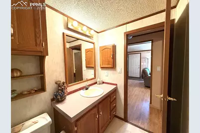 17 Amanda Circle, Florissant, CO 80816 - Photo 48