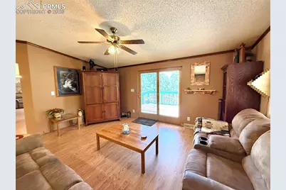 17 Amanda Circle, Florissant, CO 80816 - Photo 34