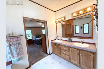 17 Amanda Circle, Florissant, CO 80816 - Photo 42