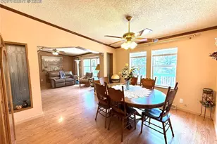 17 Amanda Cir, Florissant, CO 80816 - Photo 30