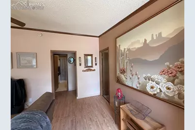 17 Amanda Circle, Florissant, CO 80816 - Photo 24