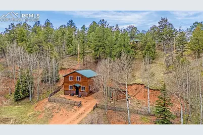 325 Willow Road, Divide, CO 80814 - Photo 28