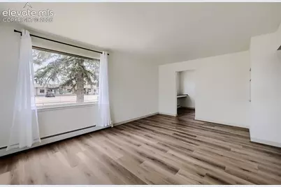229 E Monroe Street, Colorado Springs, CO 80907 - Photo 8