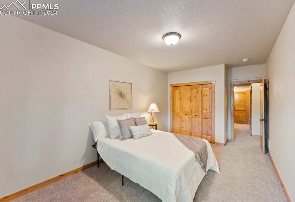 130 Elk Grove Ln, Woodland Park CO 80863-9158 exterior