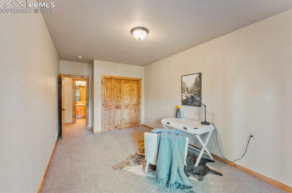 130 Elk Grove Ln, Woodland Park CO 80863-9158 exterior